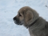 Filename=jontti_051.jpg
Filesize=47KiB
Dimensions=796x597
Date added=%806 %17, %2009 jontti_051.jpg