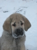 Filename=jontti_057.jpg
Filesize=48KiB
Dimensions=614x818
Date added=%805 %17, %2009 jontti_057.jpg