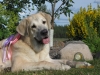 Filename=tula_pose_1.JPG
Filesize=140KiB
Dimensions=960x720
Date added=%359 %22, %2009 tula_pose_1.JPG