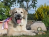 Filename=tula_pose_2.JPG
Filesize=145KiB
Dimensions=960x720
Date added=%358 %22, %2009 tula_pose_2.JPG