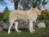 Filename=tula_poseeraus.JPG
Filesize=169KiB
Dimensions=960x720
Date added=%360 %22, %2009 tula_poseeraus.JPG