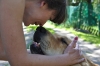 Filename=980df5d238874887med.jpg
Filesize=31KiB
Dimensions=500x332
Date added=%948 %12, %2009 980df5d238874887med.jpg