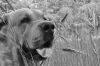 Filename=CSC_0069.JPG
Filesize=762KiB
Dimensions=2144x1424
Date added=%829 %08, %2009 CSC_0069.JPG