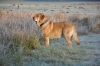 Filename=DSC_0025.JPG
Filesize=447KiB
Dimensions=1608x1068
Date added=%978 %21, %2010 DSC_0025.JPG