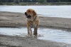 Filename=DSC_0048~0.JPG
Filesize=661KiB
Dimensions=2144x1424
Date added=%487 %15, %2009 DSC_0048~0.JPG