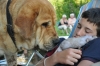 Filename=DSC_0065~0.JPG
Filesize=289KiB
Dimensions=1608x1068
Date added=%962 %19, %2010 DSC_0065~0.JPG