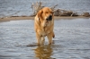 Filename=DSC_0071.JPG
Filesize=636KiB
Dimensions=2144x1424
Date added=%483 %15, %2009 DSC_0071.JPG