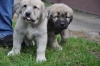 Filename=DSC_0074.JPG
Filesize=792KiB
Dimensions=2144x1424
Date added=%513 %15, %2009 DSC_0074.JPG