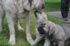 Filename=DSC_0076.JPG
Filesize=843KiB
Dimensions=2144x1424
Date added=%512 %15, %2009 DSC_0076.JPG