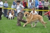Filename=DSC_0170.JPG
Filesize=1045KiB
Dimensions=2144x1424
Date added=%920 %04, %2009 DSC_0170.JPG