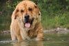 Filename=DSC_0173.JPG
Filesize=599KiB
Dimensions=2144x1424
Date added=%733 %06, %2009 DSC_0173.JPG