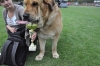 Filename=DSC_0388.JPG
Filesize=982KiB
Dimensions=2144x1424
Date added=%918 %16, %2009 DSC_0388.JPG