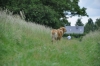 Filename=b1a9f40159e25a6cmed.jpg
Filesize=40KiB
Dimensions=500x333
Date added=%939 %12, %2009 b1a9f40159e25a6cmed.jpg