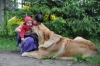 Filename=d2929c76f1e4c5e3med.jpg
Filesize=60KiB
Dimensions=500x333
Date added=%937 %12, %2009 d2929c76f1e4c5e3med.jpg