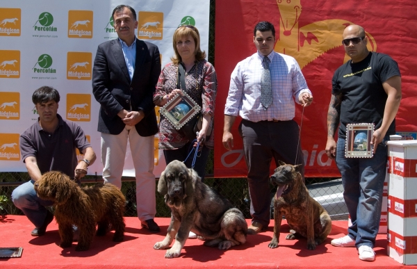 Muga de Zurita [1ª BIS Cachorros] (V Exposición Nacional de Razas Españolas Archidona 2009)
V Exposición Nacional de Razas Españolas
Archidona 2009
1ª Mejor Cachorro Hembra Mastin Español
1ª Mejor Cachorro Mastin Español
1ª Mejor Cachorro BIS (Mejor ejemplar de la exposición) 
Keywords: tramasterra varios09