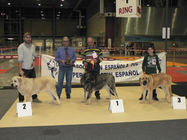 Muga de Zurita: EXC 1ª - Clase Jóvenes Hembras, XXIX Monográfica, Alicante
Keywords: tramasterra