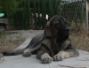 Filename=zuritaun.JPG
Filesize=139KiB
Dimensions=1158x896
Date added=%503 %29, %2009 zuritaun.JPG