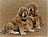 Filename=22-DSC05479-min.JPG
Filesize=132KiB
Dimensions=674x519
Date added=%010 %14, %2020 22-DSC05479-min.JPG