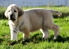 Filename=DSC00424.JPG
Filesize=280KiB
Dimensions=1024x740
Date added=%837 %10, %2013 DSC00424.JPG