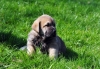 Filename=DSC_0005.jpg
Filesize=285KiB
Dimensions=1108x765
Date added=%962 %01, %2012 DSC_0005.jpg