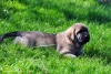 Filename=DSC_0010.jpg
Filesize=290KiB
Dimensions=1127x765
Date added=%961 %01, %2012 DSC_0010.jpg