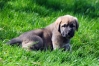 Filename=DSC_0051.jpg
Filesize=279KiB
Dimensions=1146x765
Date added=%959 %01, %2012 DSC_0051.jpg