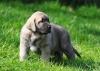 Filename=DSC_0066.jpg
Filesize=214KiB
Dimensions=1075x765
Date added=%961 %01, %2012 DSC_0066.jpg