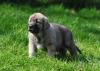 Filename=DSC_0068.jpg
Filesize=232KiB
Dimensions=1077x765
Date added=%960 %01, %2012 DSC_0068.jpg