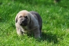 Filename=DSC_0072.jpg
Filesize=224KiB
Dimensions=1130x765
Date added=%960 %01, %2012 DSC_0072.jpg