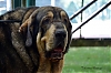 Filename=DSC_0356-min.JPG
Filesize=660KiB
Dimensions=2953x1968
Date added=%033 %14, %2020 DSC_0356-min.JPG