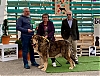 Filename=Irineo_FX_Exc_1deg_CIM__Mejor_Macho_BIS.jpeg
Filesize=143KiB
Dimensions=1024x783
Date added=%017 %14, %2020 Irineo_FX_Exc_1deg_CIM__Mejor_Macho_BIS.jpeg