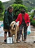 Filename=Lia_14_meses_1.jpg
Filesize=168KiB
Dimensions=706x960
Date added=%891 %07, %2020 Lia_14_meses_1.jpg