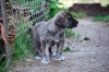 Filename=chica1_jpg.jpg
Filesize=311KiB
Dimensions=900x602
Date added=%890 %30, %2011 chica1_jpg.jpg