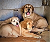 Filename=trio_2_bis-min.jpg
Filesize=159KiB
Dimensions=1139x968
Date added=%006 %14, %2020 trio_2_bis-min.jpg