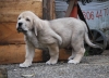 Filename=winoco01_jpg.jpg
Filesize=109KiB
Dimensions=900x656
Date added=%428 %30, %2010 winoco01_jpg.jpg