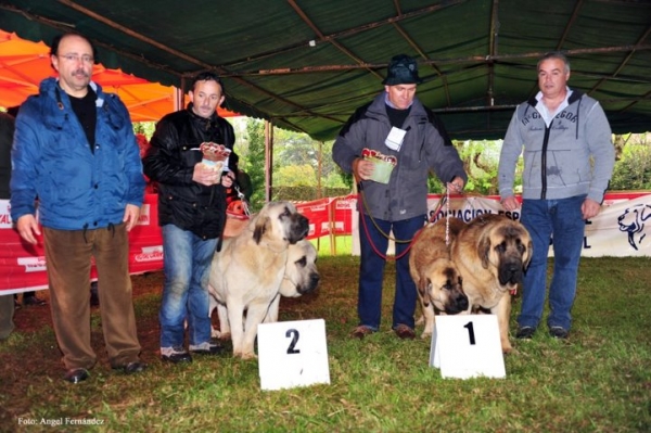 clase parejas
clase pareja en Castañeda 2012
Keywords: caachorros