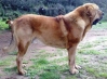 Filename=WEB_GALLERY.jpg
Filesize=42KiB
Dimensions=448x328
Date added=%857 %14, %2010 WEB_GALLERY.jpg