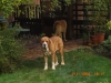 Filename=CIMG1728.JPG
Filesize=320KiB
Dimensions=640x480
Date added=%043 %07, %2009 CIMG1728.JPG