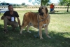 Filename=DSC_0415.JPG
Filesize=334KiB
Dimensions=800x536
Date added=%568 %23, %2013 DSC_0415.JPG