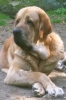 Filename=IMG_0488.PNG
Filesize=850KiB
Dimensions=640x960
Date added=%035 %16, %2011 IMG_0488.PNG