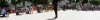 Filename=panoramica.jpg
Filesize=171KiB
Dimensions=1418x287
Date added=%950 %17, %2015 panoramica.jpg