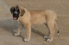 Filename=04.jpg
Filesize=29KiB
Dimensions=600x400
Date added=%523 %24, %2009 04.jpg