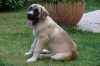 Filename=06.jpg
Filesize=40KiB
Dimensions=600x400
Date added=%520 %24, %2009 06.jpg