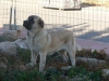Filename=10.jpg
Filesize=41KiB
Dimensions=600x450
Date added=%518 %24, %2009 10.jpg