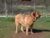 Filename=Navarra-14th-month.jpg
Filesize=326KiB
Dimensions=1500x1125
Date added=%130 %07, %2009 Navarra-14th-month.jpg