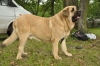 Filename=pod_drzewem.JPG
Filesize=74KiB
Dimensions=640x425
Date added=%419 %13, %2010 pod_drzewem.JPG