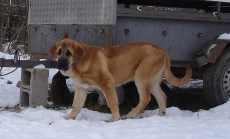 Canelo de los Zumbos
Keywords: puerto canencia