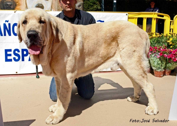 Baruc 16 meses - en Cieza, Murcia, AEPME 21.04.12
Keywords: 2012 canencia