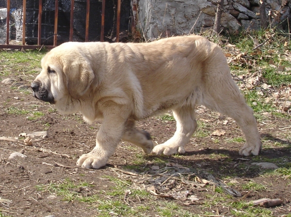 Baruc de Puerto Canencia 3 meses
Keywords: canencia