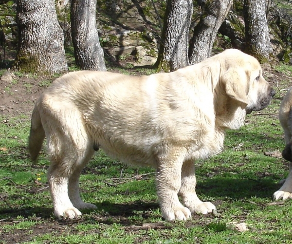 Baruc de Puerto Canencia, 3 meses y medio
Keywords: canencia